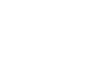 Brands Promotion