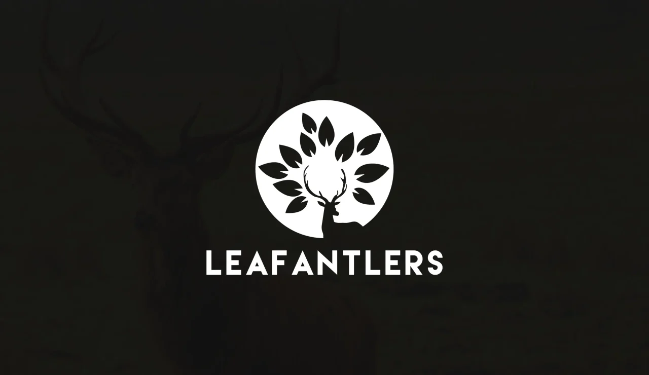 Logo Design (22)